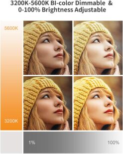 RALENO 2 Packs LED Video Light and 75inches Stand Lighting Kit, CRI 95+ Photography Lighting with 8000mAh Built-in Battery & LCD Display