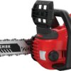 CRAFTSMAN V20* Cordless Chainsaw, 12-Inch (CMCCS620M1)