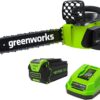 Greenworks 40V 16" Brushless Cordless Chainsaw (Great For Tree Felling, Limbing, Pruning, and Firewood / 75+ Compatible Tools), 4.0Ah Battery and Charger Included