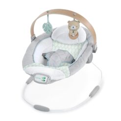 Ingenuity Cozy Spot Soothing Baby Bouncer with Wooden-Toy Arch, Natural Rubber-Toy, Safety Harness, Music & Auto-Shutoff, 0-6 Months, Grey