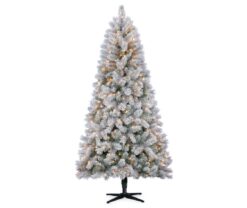Winter Wonder Lane 7' Lake Tahoe Flocked Pre-Lit Artificial Christmas Tree with Clear Lights