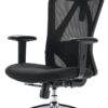 SIHOO M18 Ergonomic Office Chair for Big and Tall People Adjustable Headrest with 2D Armrest Lumbar Support and PU Wheels Swivel Tilt Function Black