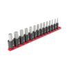 TEKTON SIB92101 1/2 in. Drive Hex Bit Impact Socket Set (14-Piece) (6-19 mm)