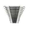 TEKTON WCB92106 1/4-1 in. Rack Combination Wrench Set, (15-Piece)