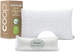 Coop Home Goods The Original Cut-Out Adjustable Pillow, Queen Size Bed Pillows for Neck & Head Support, Memory Foam Pillows - Medium Firm for Side Sleeper, CertiPUR-US/GREENGUARD Gold