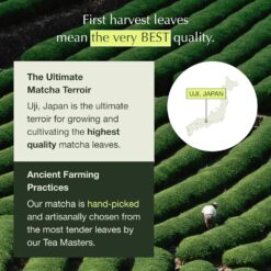 Encha Ceremonial Grade Matcha Powder - First Harvest Organic Japanese Matcha Green Tea Powder, From Uji, Japan (60g/2.12oz) - 2