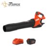 ECHO DPB-2500R2 eFORCE 56V 158 MPH 549 CFM Cordless Battery Powered Handheld Leaf Blower with 5.0Ah Battery and Rapid Charger