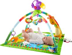 Fisher-Price Rainforest Music & Lights Deluxe Infant Gym - 3