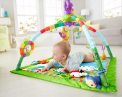 Fisher-Price Rainforest Music & Lights Deluxe Infant Gym - 2