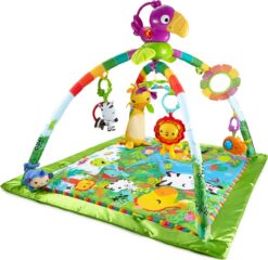 Fisher-Price Rainforest Music & Lights Deluxe Infant Gym - 1