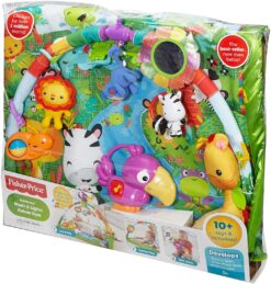 Fisher-Price Rainforest Music & Lights Deluxe Infant Gym - 21