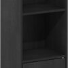 Furinno Luder Shelf Bookcase with 1 Door Storage Cabinet, Blackwood