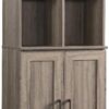 Sauder Homeplus Engineered Wood Storage Cabinet in Salt Oak Finish