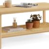 VASAGLE 2-Tier Coffee Table for Living Room, Living Room Table Rectangular Center Table, with PVC Rattan Storage Shelf, Rounded Corners, Easy Assembly, Boho Style, Oak Beige ULCT240Y57