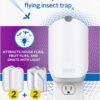 Zevo Flying Insect Trap, Fly Trap, Fruit Fly Trap (2 Plug-in Bases + 2 Refill Cartridges)
