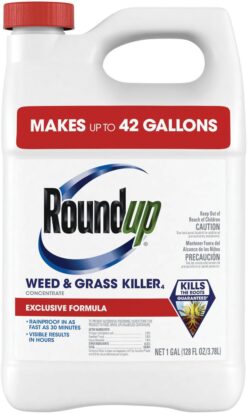 Roundup Weed & Grass Killer₄ Concentrate, Use In and Around Flower Beds, Walkways and other areas of your yard, 1 gal.