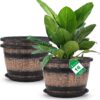 Quarut Large Plastic 3 Pack16 inch Plant Pots,Whiskey Barrel Planters with Drainage Holes & Saucer.Flower Pots Imitation Wine Barrel Design for Indoor & Outdoor Garden Balcony Plants.7 Gallons(Brown)