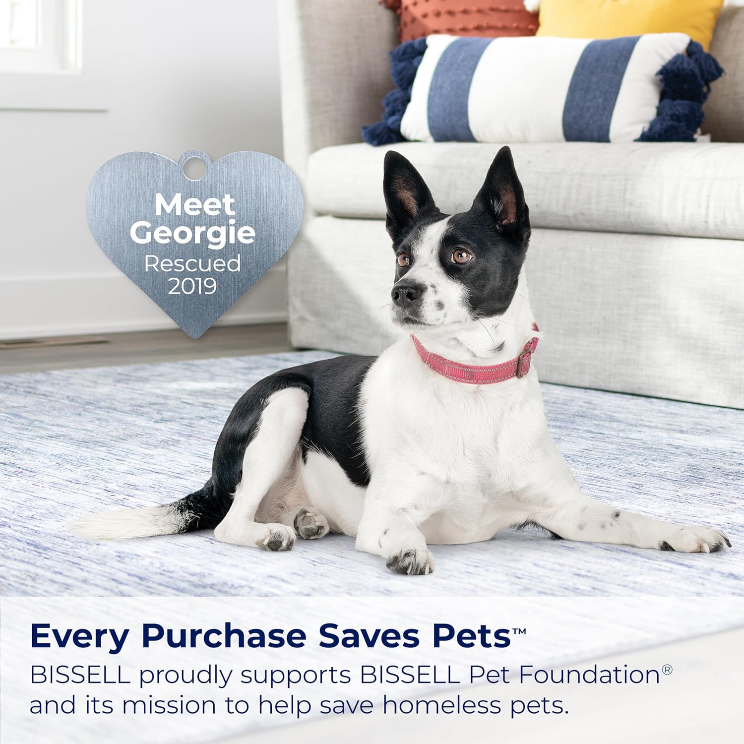 BISSELL Little Green HydroSteam Multi-Purpose Portable Carpet and Upholstery Cleaner, Car and Auto Detailer, 3618, Black and Copper Harbor0