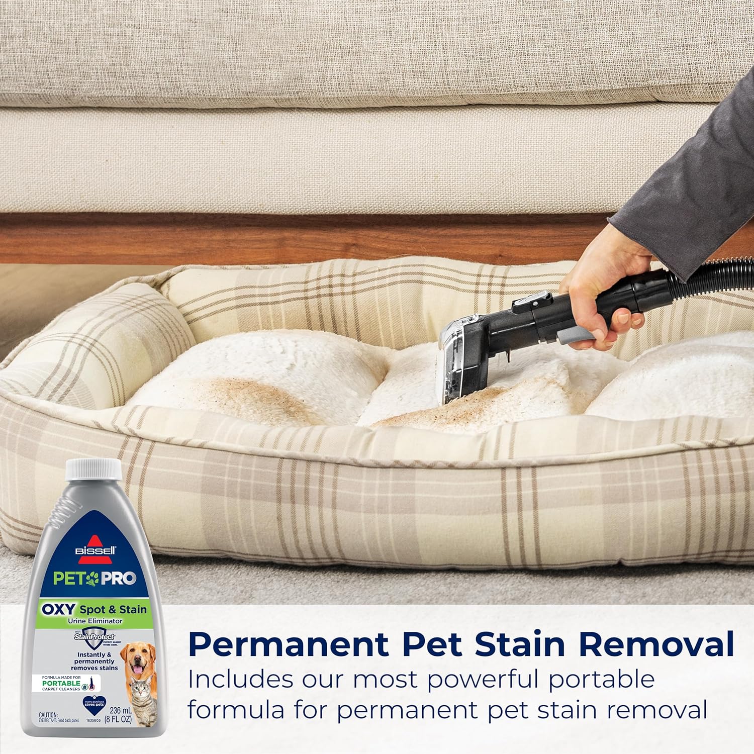 BISSELL Little Green HydroSteam Multi-Purpose Portable Carpet and Upholstery Cleaner, Car and Auto Detailer, 3618, Black and Copper Harbor5r