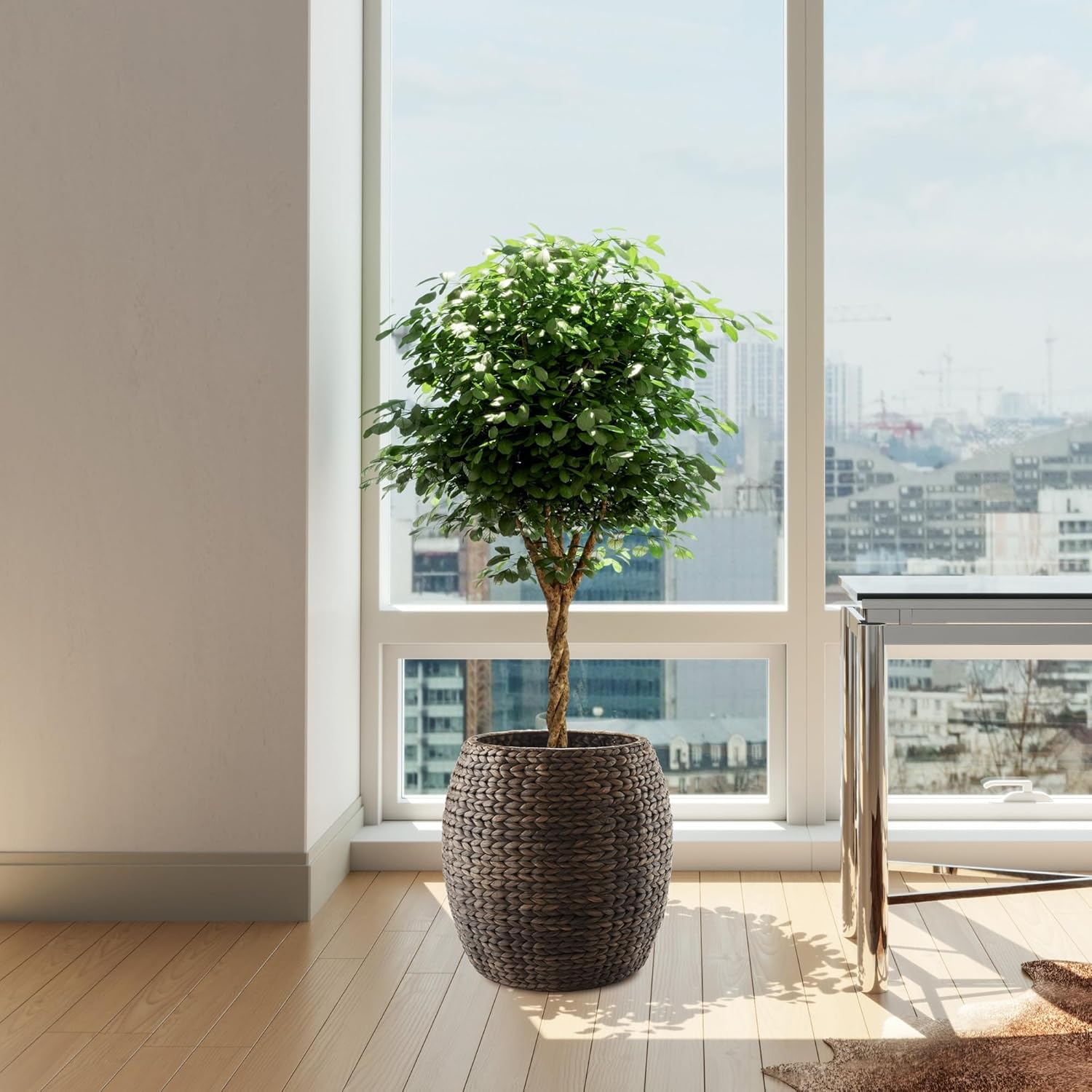 Casafield Round Storage Basket with Lid - Espresso, Handwoven Water Hyacinth Organizer for Laundry, Blankets, Plants, Bedroom, Living Room, Home Office4