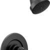 Moen Gibson Matte Black Pressure Balancing Eco-Performance Modern Shower Trim Featuring Bathroom Shower Head and Shower Lever Handle, (Posi-Temp Valve Required), T2902EPBL