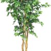 Nearly Natural 5208 Ficus Artificial Tree with Curved Trunk, 5-Feet, Green