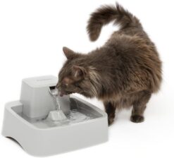 PetSafe Drinkwell Cat Water Fountain - Automatic Dog Water Bowl - Great for Multiple Pets - Pump and Water Filter Included - Dishwasher Safe - Easy Clean Pet Dish - Water Dispenser - 1/2 Gallon/64 oz