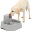 PetSafe Drinkwell Water Fountain for Dogs or Multiple Pets - Automatic Water Bowl- Pump and Water Filter Included- Dishwasher Safe- Easy Clean Pet Dish- Water Dispenser- 2 Gallon/256 Ounce