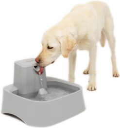 PetSafe Drinkwell Water Fountain for Dogs or Multiple Pets - Automatic Water Bowl- Pump and Water Filter Included- Dishwasher Safe- Easy Clean Pet Dish- Water Dispenser- 2 Gallon/256 Ounce