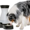PetSafe Healthy Pet Water Station- Large, 320 oz Capacity- Gravity Cat & Dog Waterer- Removable Stainless Steel Bowl Resists Corrosion & Stands Up to Frequent Use- Easy to Fill- Filter Compatible