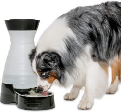 PetSafe Healthy Pet Water Station- Large, 320 oz Capacity- Gravity Cat & Dog Waterer- Removable Stainless Steel Bowl Resists Corrosion & Stands Up to Frequent Use- Easy to Fill- Filter Compatible