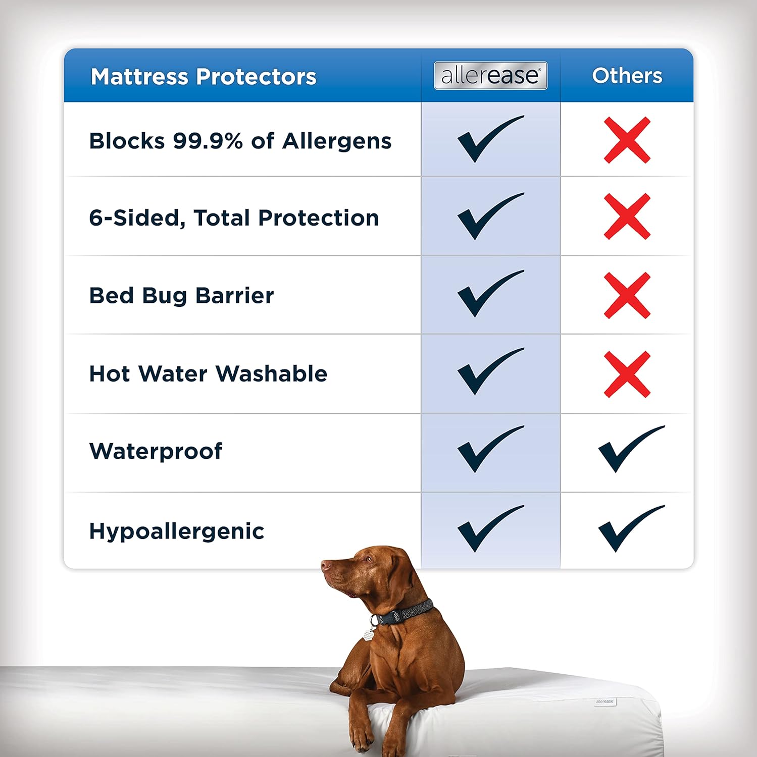 AllerEase Waterproof Mattress Protector, Maximum Allergy Mattress Protector, Full Mattress Cover3