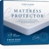Cosy House Collection Luxury Mattress Protector - Blend of Rayon Derived from Bamboo - College Dorm Room Essentials - Ultra Soft Comfort, Stays Cool & Quiet - Premium Fitted Sheet Style (Twin) White