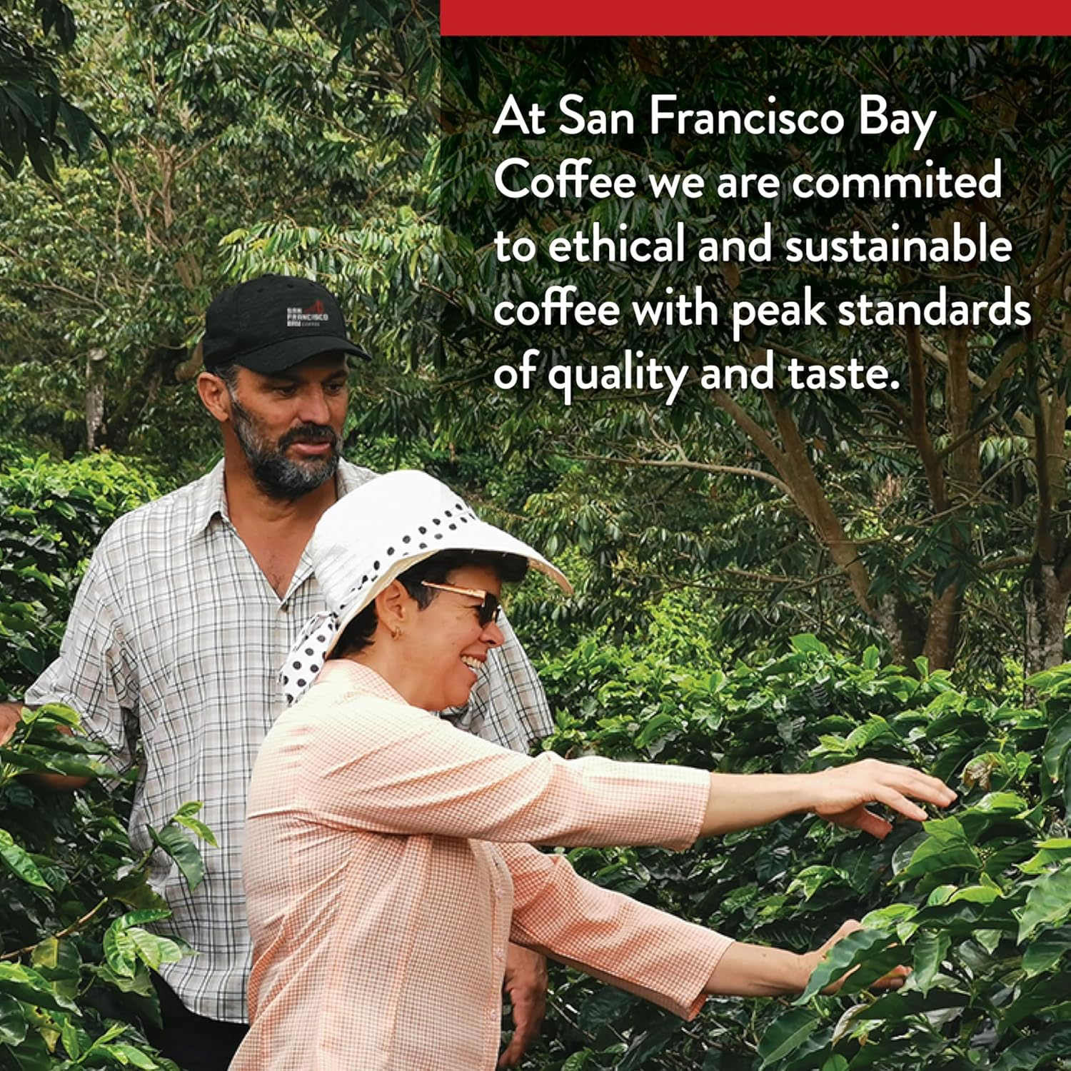 San Francisco Bay Compostable Coffee Pods - Assorted Variety Pack (80 Ct) K Cup Compatible including Keurig 2.0, Donut Shop, Colombian, Hazelnut, Espresso8