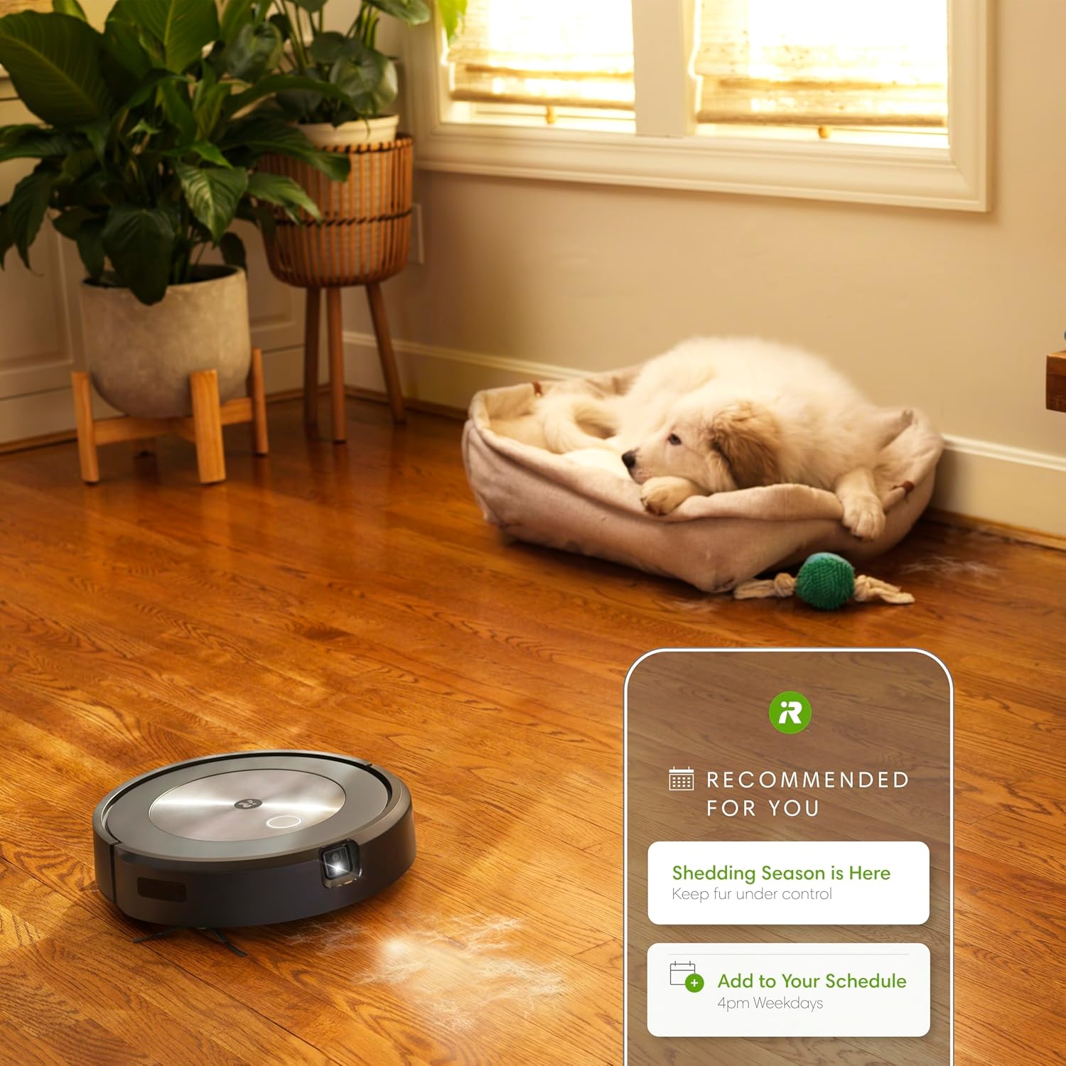 iRobot Roomba j7+ (7550) Self-Emptying Robot Vacuum – Uses PrecisionVision Navigation to Identify & Avoid Objects Like Socks, Shoes, & Pet Waste, Smart Mapping, Self-Empty for Up to 60 Days9