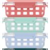Ello Duraglass Glass Meal Prep Sets Leak-Proof Glass Food Storage Containers with Airtight BPA-Free Plastic Lids, Dishwasher, Microwave, and Freezer Safe