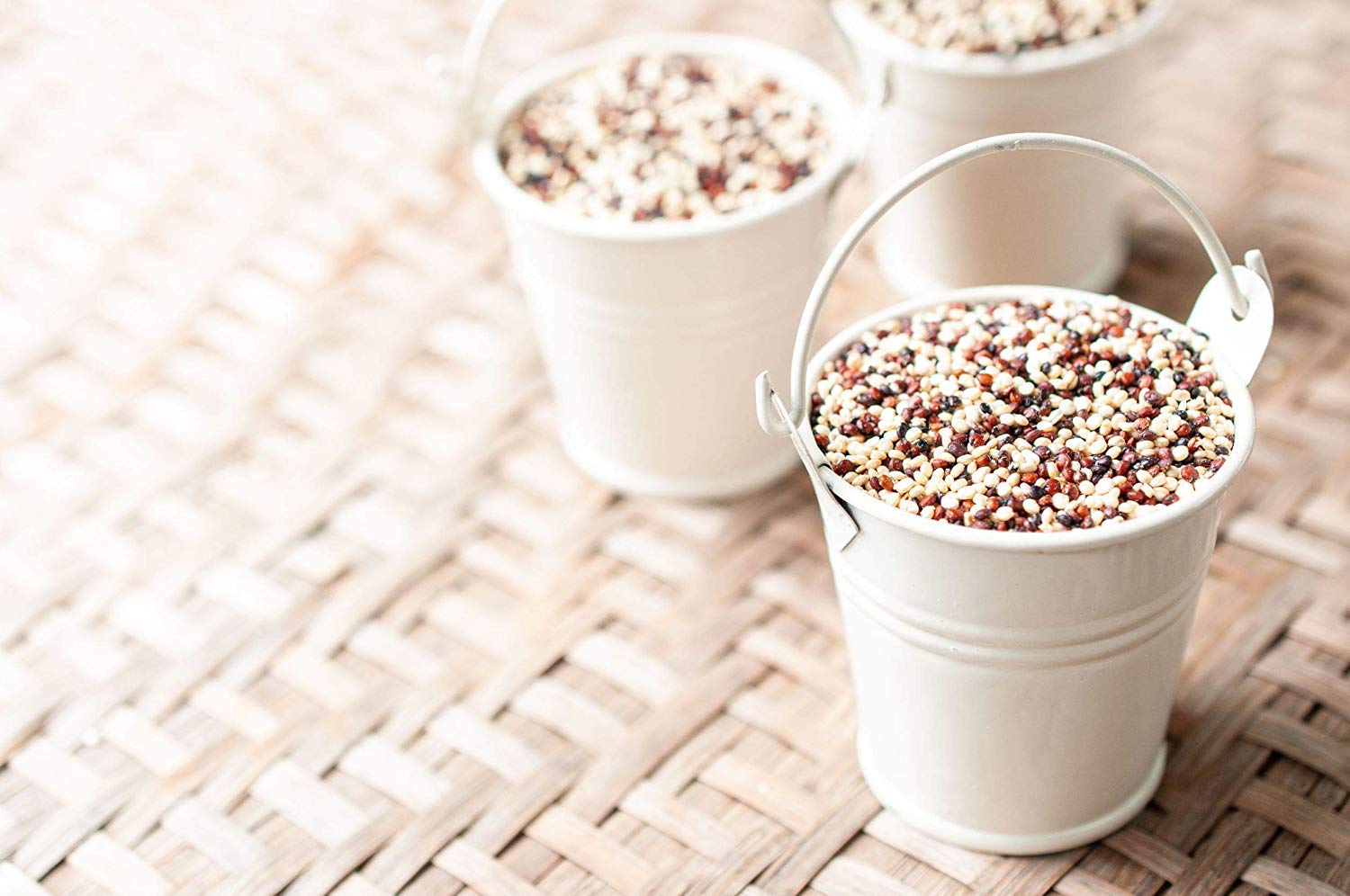 Food to Live Organic Tri-Color Quinoa, 10 Pounds — Non-GMO, Three-Color Blend of White, Black, and Red, Whole Grain, Non-Irradiated, Kosher, Vegan, Sproutable, Sirtfood, Good Source of Fiber, Protein6