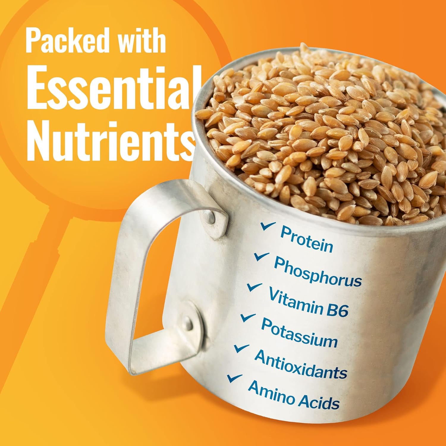 Grand Teton Ancient Grains - 100% Organic Einkorn Berries, Premium Food-Grade Farro Piccolo, For Milling into Flour, Baking, Pilafs, & Soups, 25 lbs3