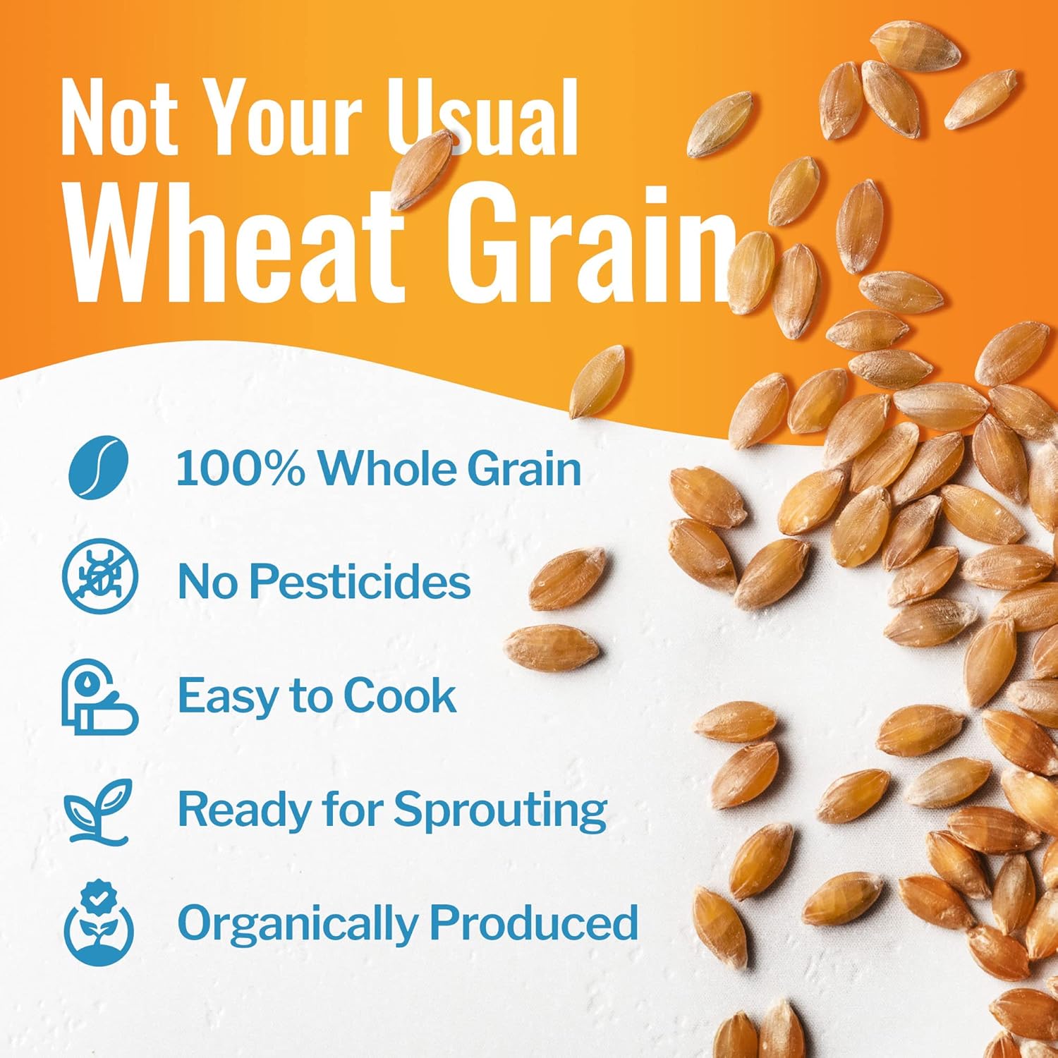 Grand Teton Ancient Grains - 100% Organic Einkorn Berries, Premium Food-Grade Farro Piccolo, For Milling into Flour, Baking, Pilafs, & Soups, 25 lbs6