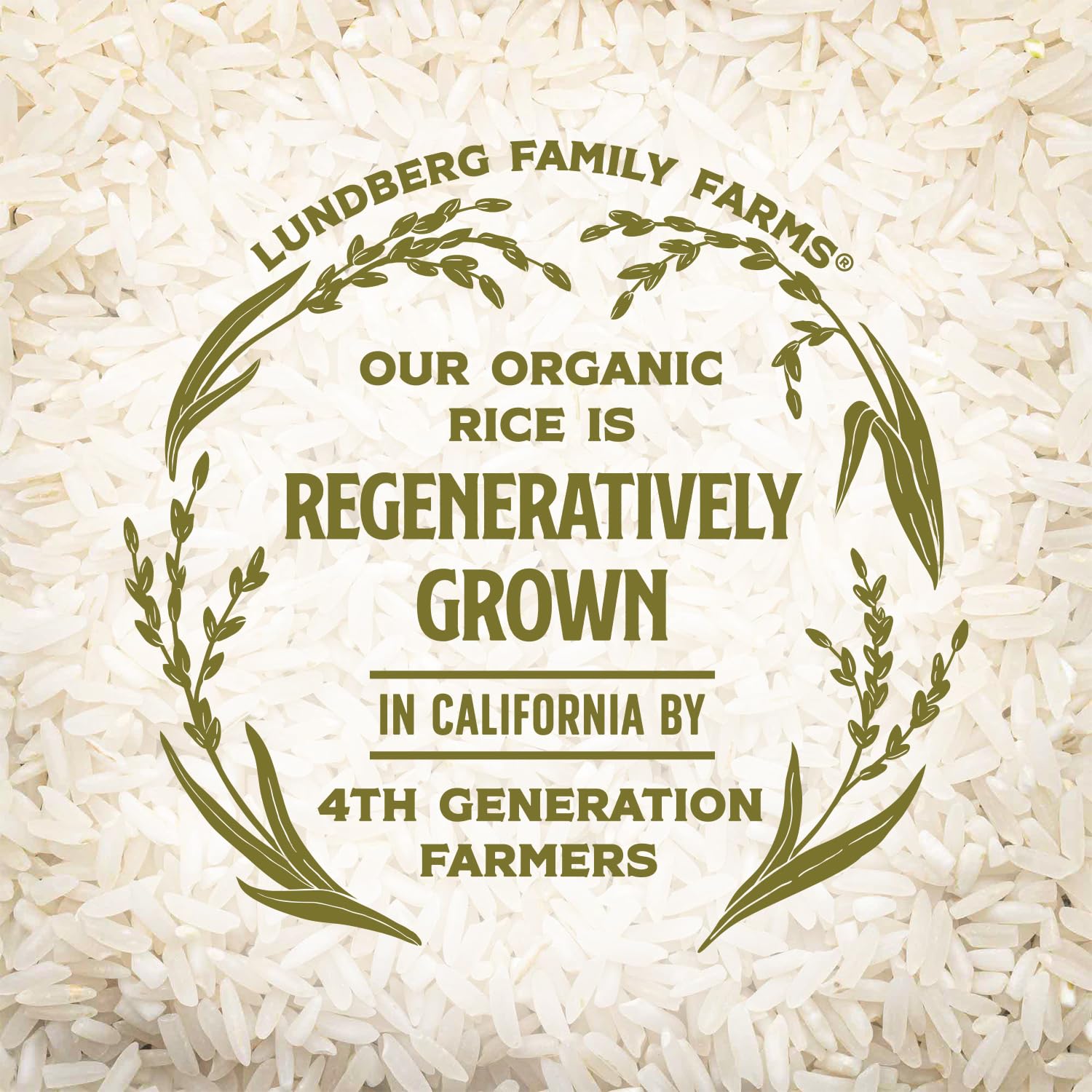 Lundberg Basmati Rice, Long Grain White Rice - Non-Sticky, Fluffy, Nutty, Aromatic Rice, Vegan Food, Healthy Meals, Gluten-Free Rice Grown in California, 32 Oz (Pack of 6)0