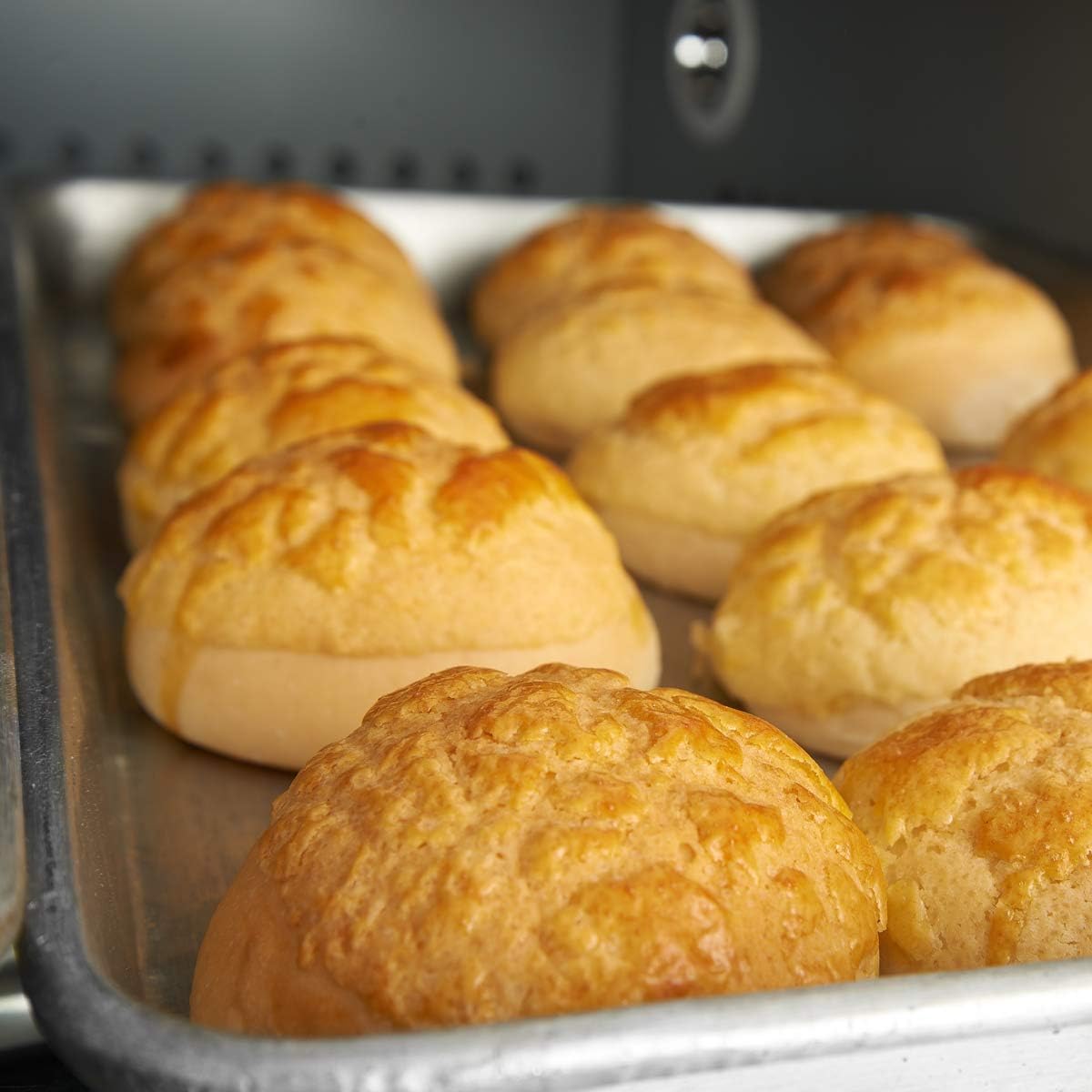 Baking Sheet Set of 2, Wildone Stainless Steel Baking Tray Cookie Pan, Size 20 x 14 x 1 Inch, Non Toxic & Heavy Duty & Easy Clean0