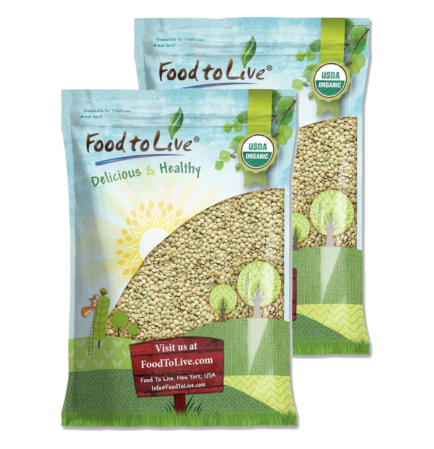 Food to Live Organic Whole Green Lentils, 20 Pounds – Non-GMO, Dried Raw Beans, Sproutable, Vegan, Kosher, High in Folate, Dietary Fiber, Protein, No Soaking Required, for Soups, and Veggie Burgers Food to Live Organic Whole Green Lentils, 20 Pounds – Non-GMO, Dried Raw Beans, Sproutable, Vegan, Kosher, High in Folate, Dietary Fiber, Protein, No Soaking Required, for Soups, and Veggie Burgers