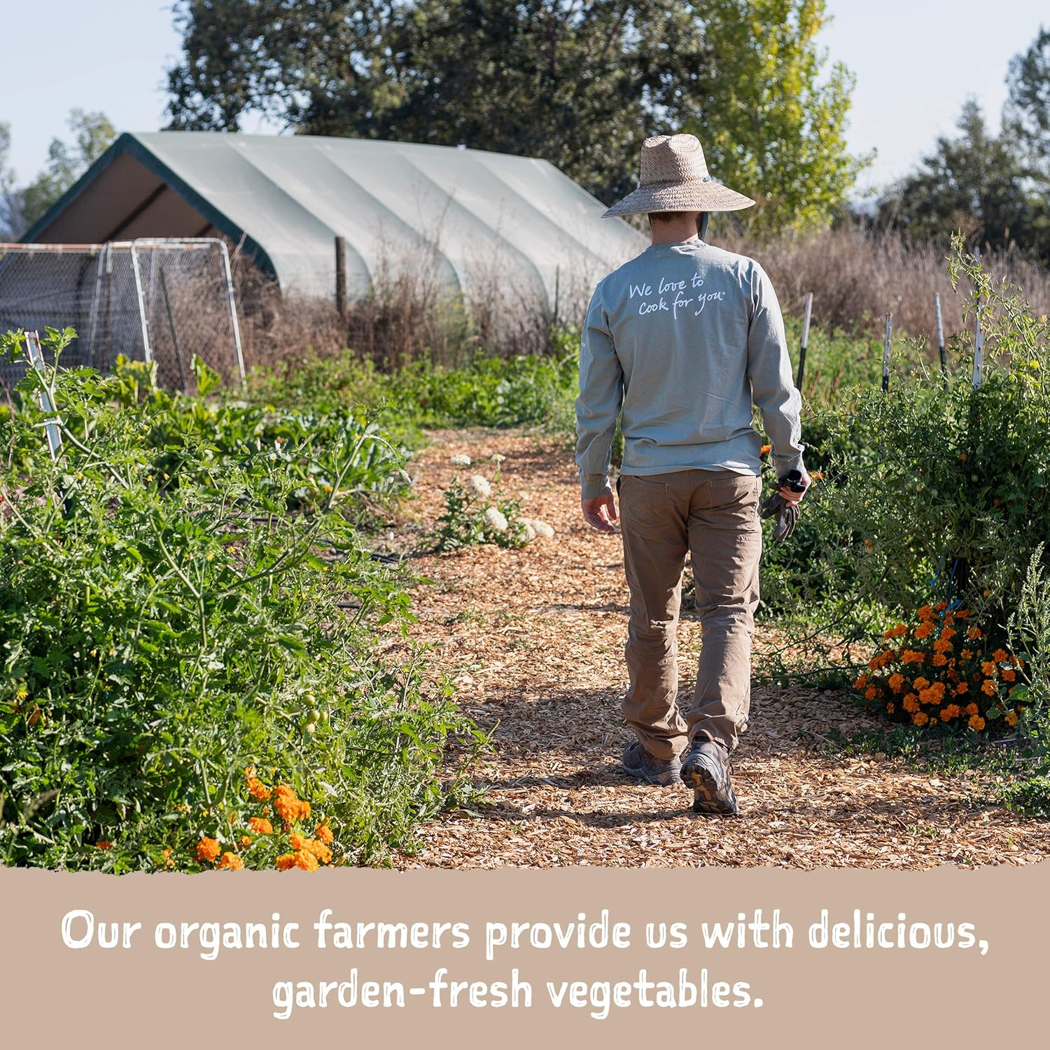 Amy’s Soup, Vegan Chunky Vegetable Soup, Gluten Free, Made with Organic Vegetables, Canned Soup, 14.3 Oz (12 Pack)5