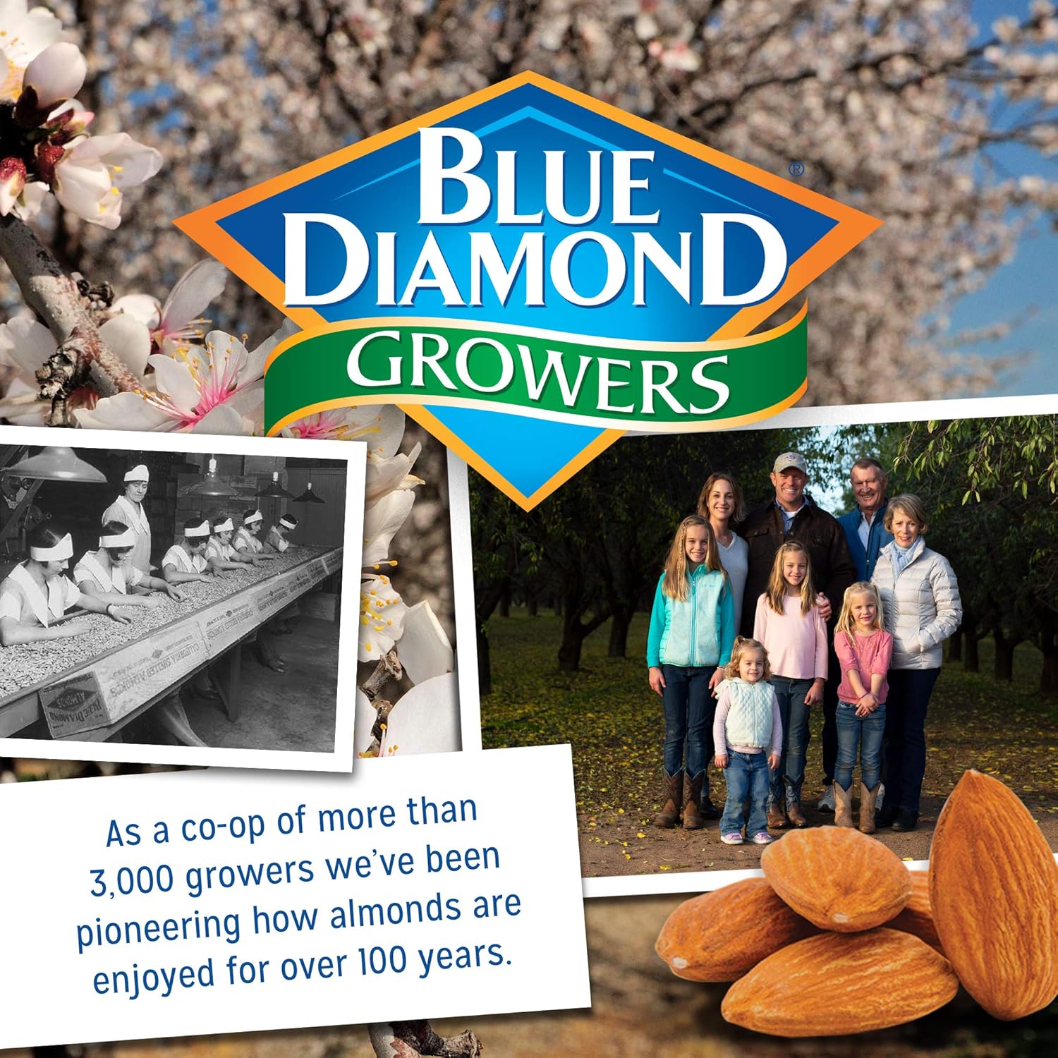 Blue Diamond Almonds Gluten Free Almond Nut-Thins Cracker Crisps, Country Ranch, 4.25 Ounce (Pack of 12)9