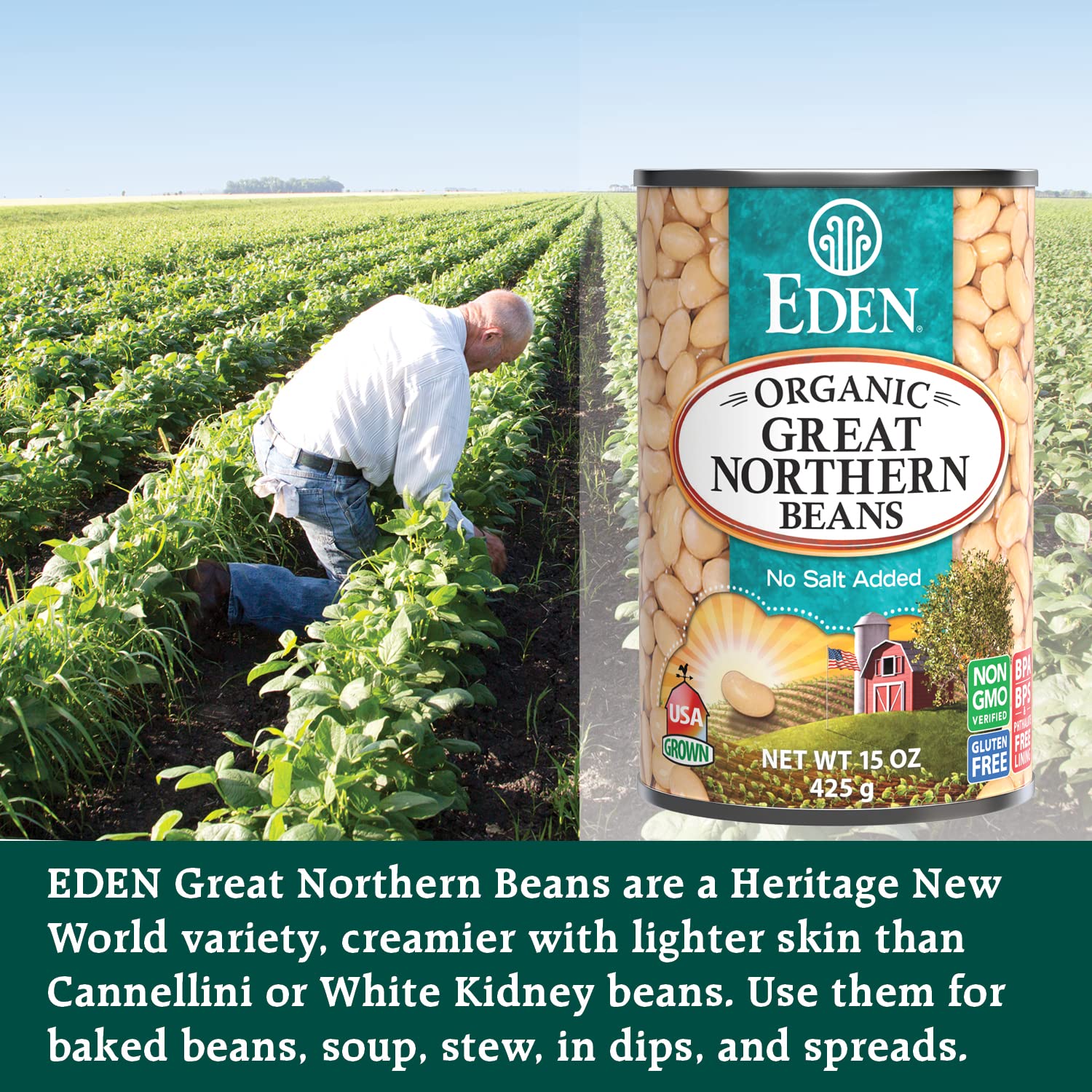 Eden Organic Great Northern Beans (White Beans), 15 oz Can (12-Pack Case), No Salt Added, Non-GMO, Gluten Free, U.S. Grown, Heat and Serve, Macrobiotic, Similar to Cannellini, Smoother3