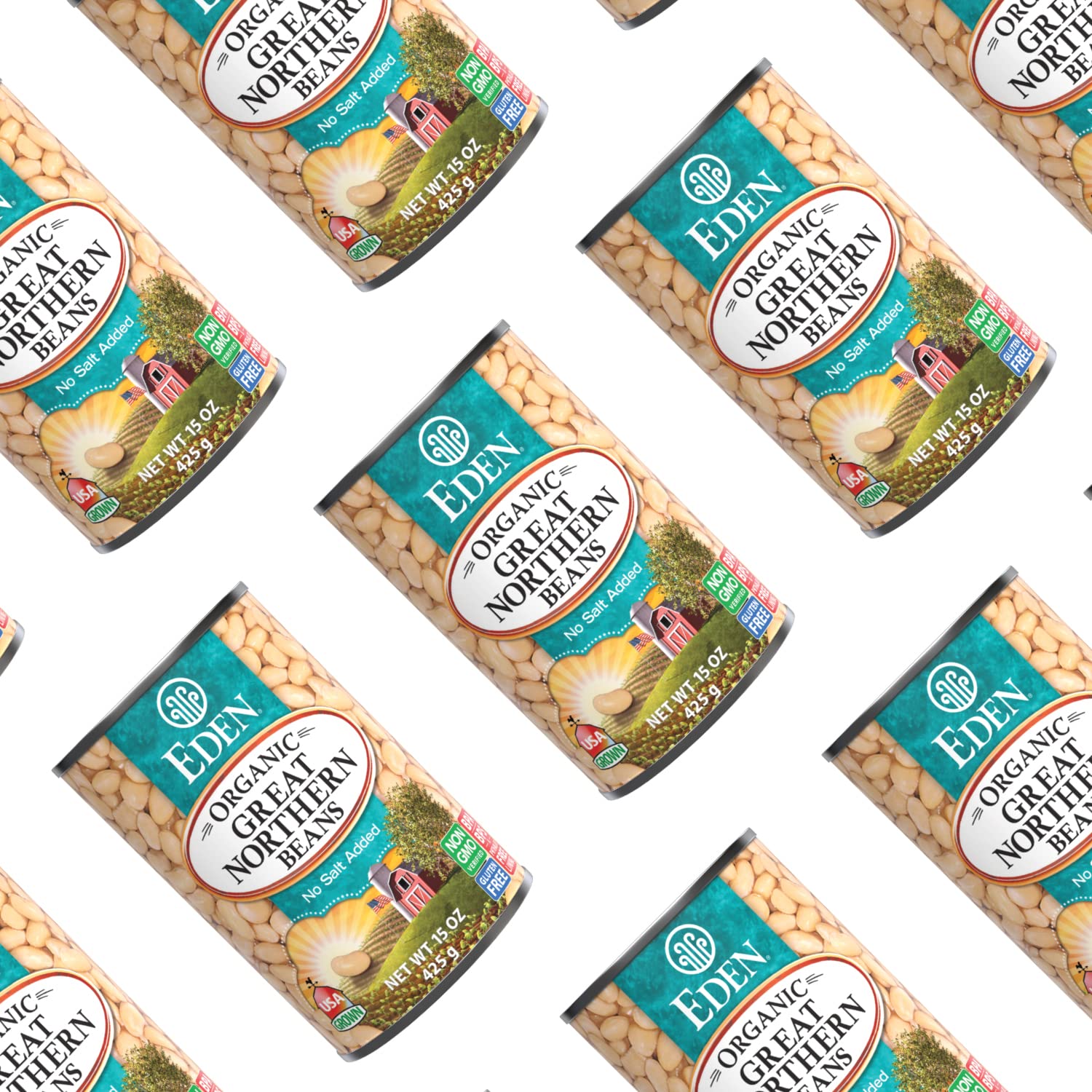 Eden Organic Great Northern Beans (White Beans), 15 oz Can (12-Pack Case), No Salt Added, Non-GMO, Gluten Free, U.S. Grown, Heat and Serve, Macrobiotic, Similar to Cannellini, Smoother8
