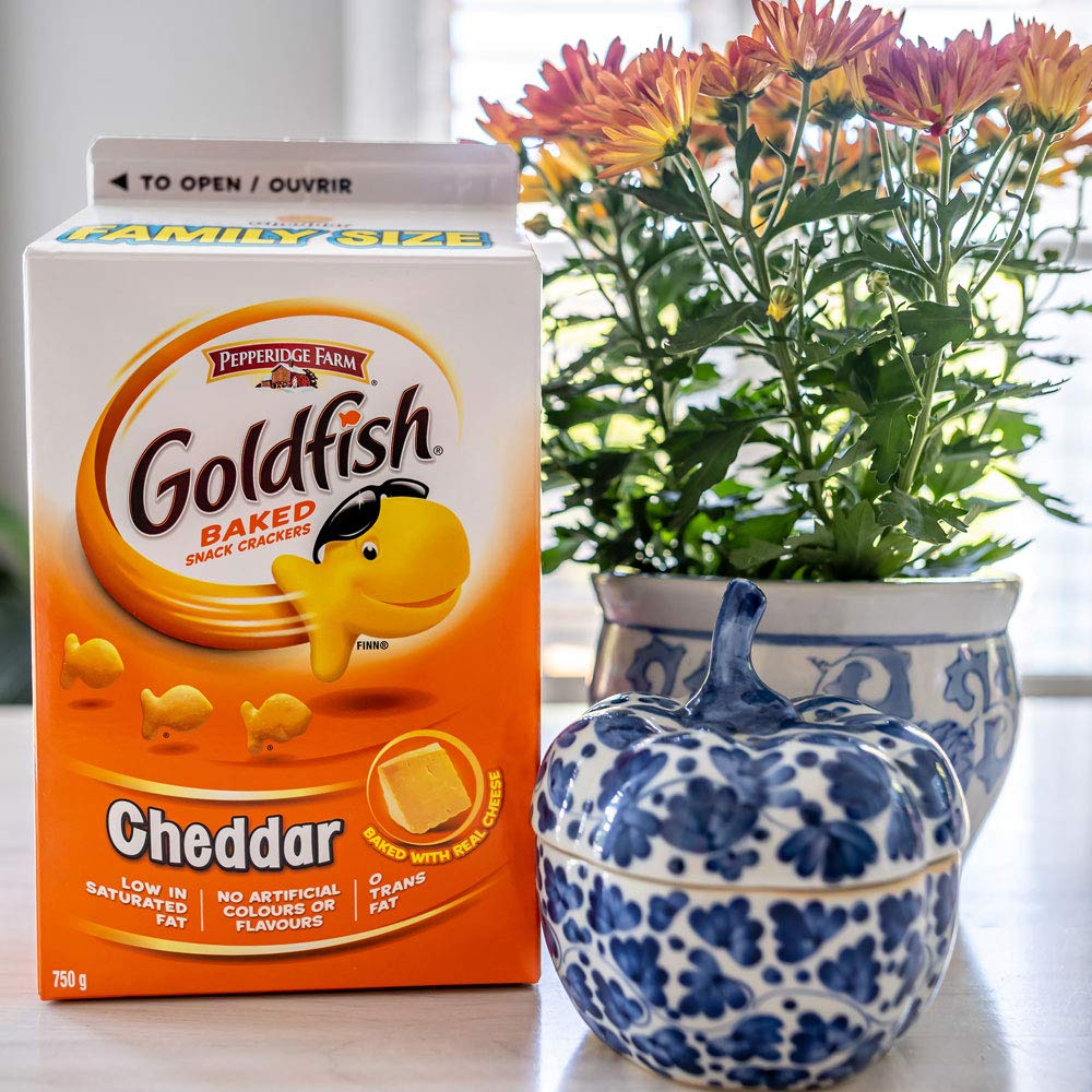 Goldfish Family Size Cheddar Crackers, 750g 26.5 oz, Carton (Imported from Canada)7