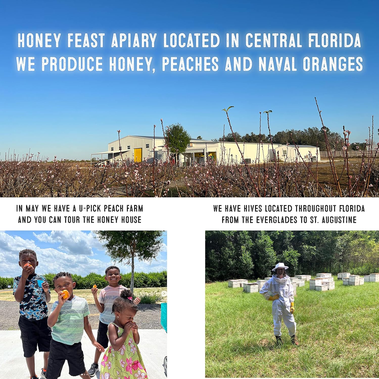 HONEY FEAST Wildflower Honey - 6 Pounds (1 2 Gallon) Bulk Honey, All Natural, Unfiltered, Unheated Honey, Perfect for Sweetening & Baking3