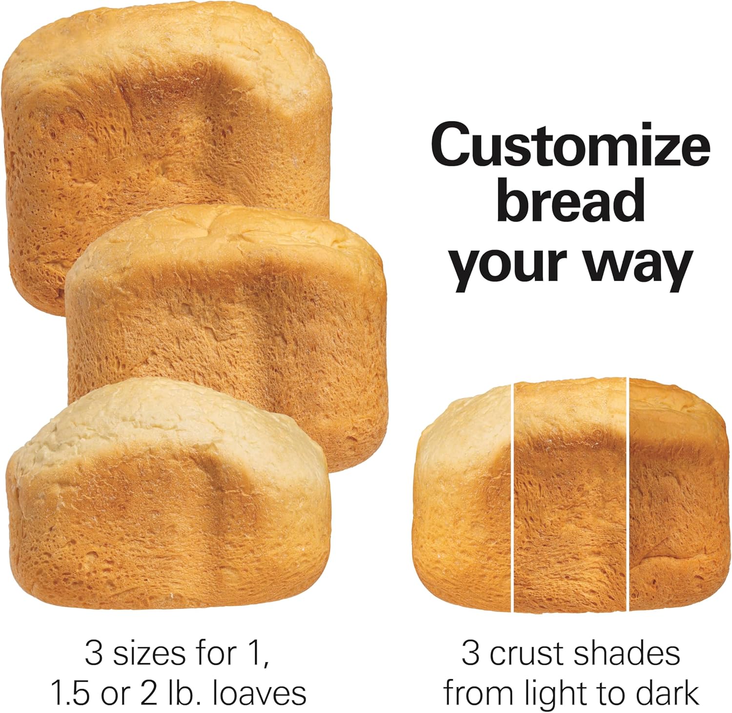 Hamilton Beach Bread Maker Machine, Digital, Programmable, 12 Settings + Gluten Free, Dishwasher Safe PFAS-Free Nonstick Pan + Kneading Paddle, 2 lb Capacity, Black (29982)45