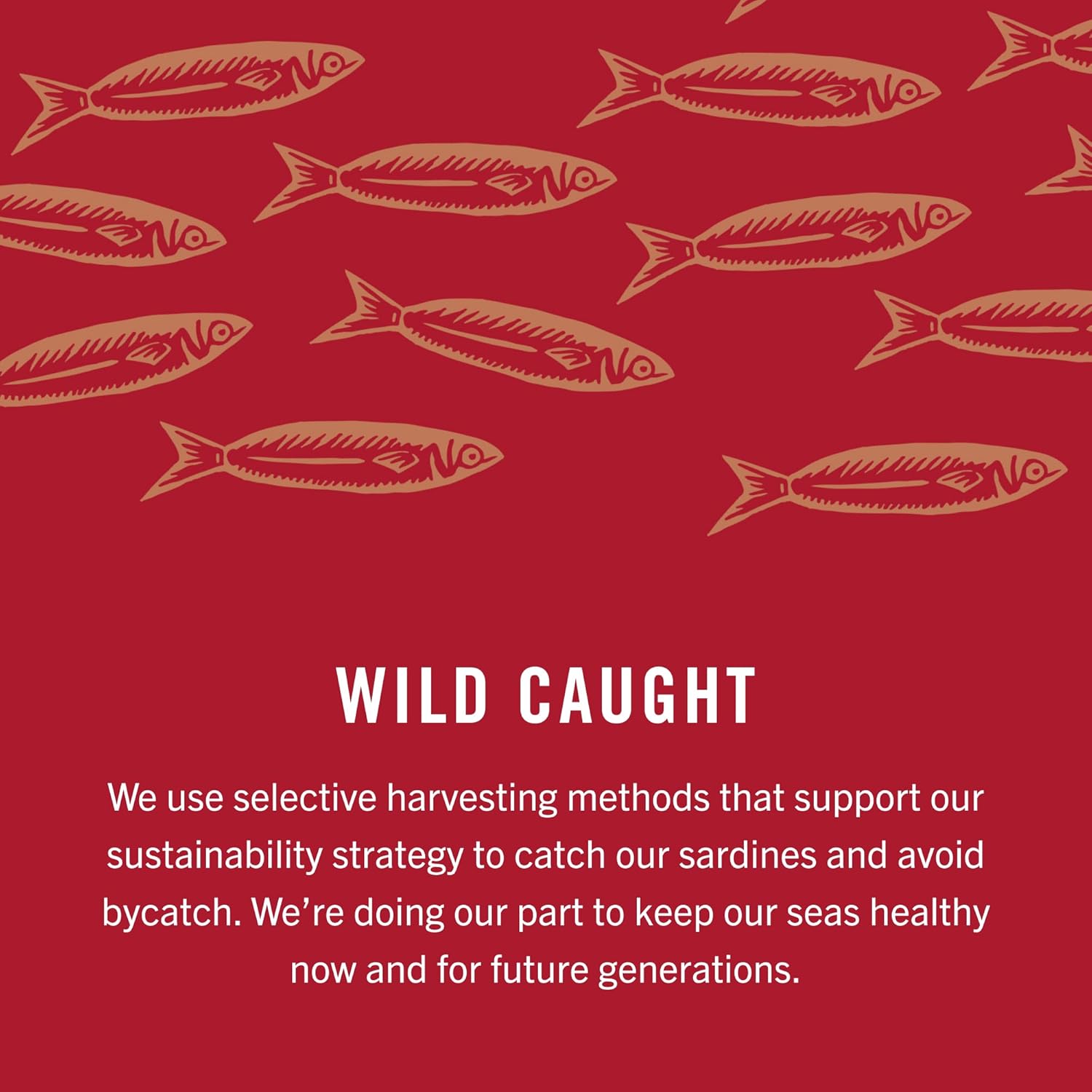 King Oscar Sardines Extra Virgin Olive Oil, 3.75-Ounce Cans (Pack of 12)0-